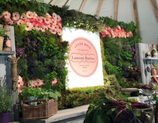 Laurent-Perrier Champagne brand display with pink flowers